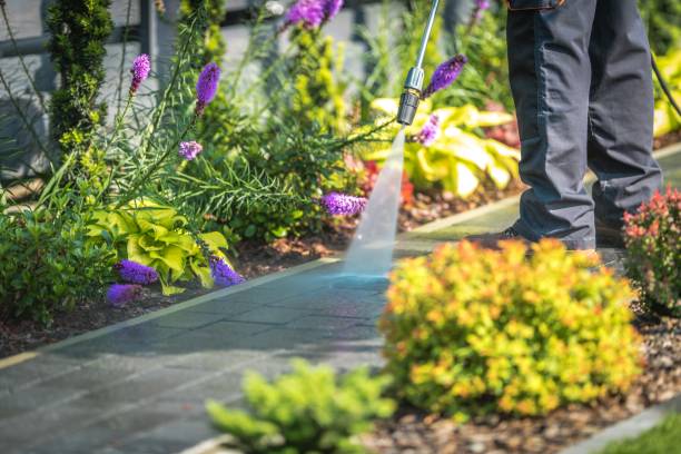 Best Spring Cleaning  in Milton, GA